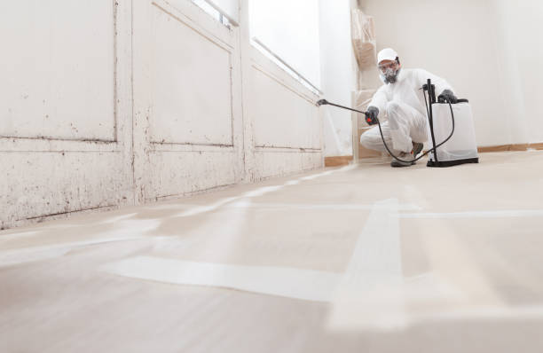 24/7 Emergency Mold Remediation experts in Weston, NJ