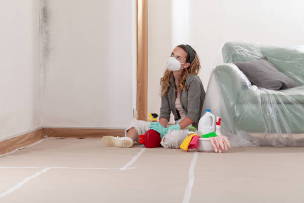 Reliable Mold Remediation contractor in Weston, NJ by Mold Remediation HQ