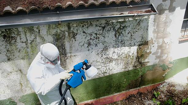 Top rated local Mold Remediation specialists in Weston, NJ